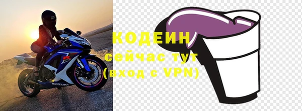гашик Осташков