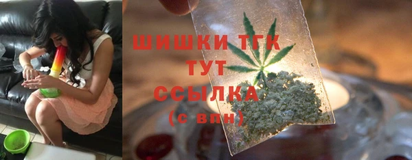 гашик Няндома