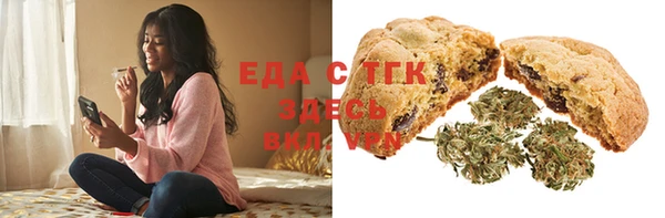 гашик Няндома