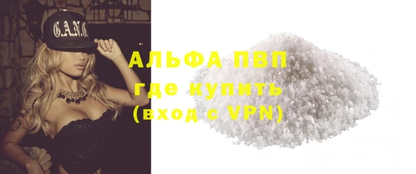 гашик Осташков