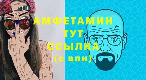 гашик Няндома
