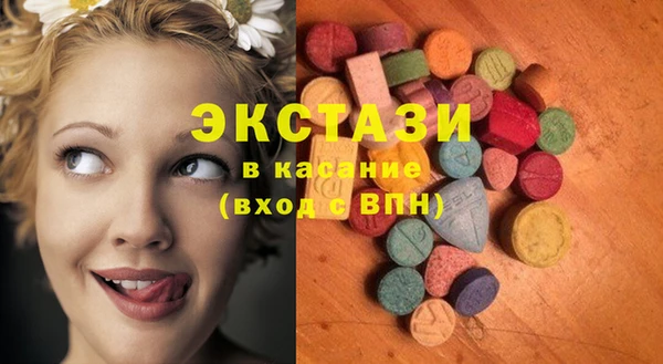 гашик Няндома