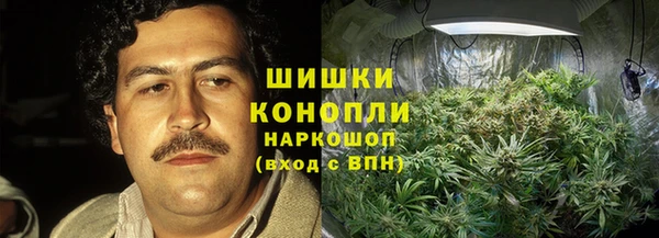 гашик Осташков