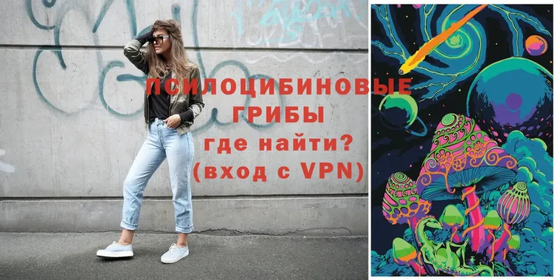 купить   kraken вход  Псилоцибиновые грибы Psilocybe  Калачинск 