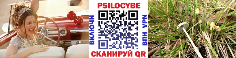 Галлюциногенные грибы ЛСД  Калачинск 